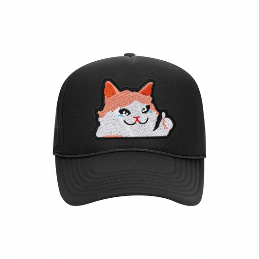 Crying Cat Meme